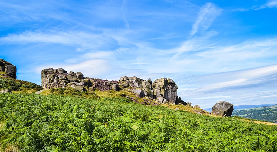 Cow and Calf, Ilkley