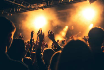 People partying at a concert