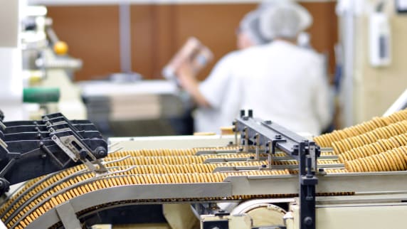 Biscuits on food production line