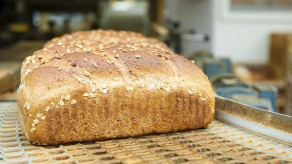 Loaf of bread on a bakery production line