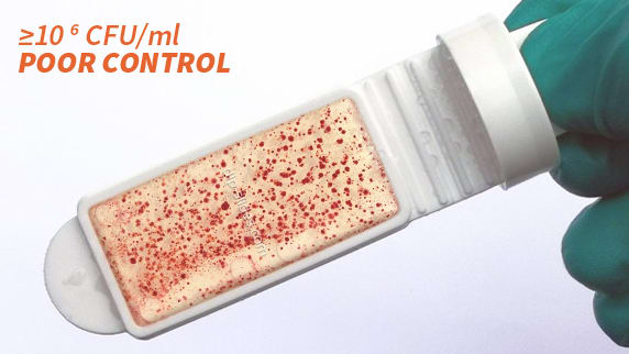 Dip slide showing poor bacterial control 