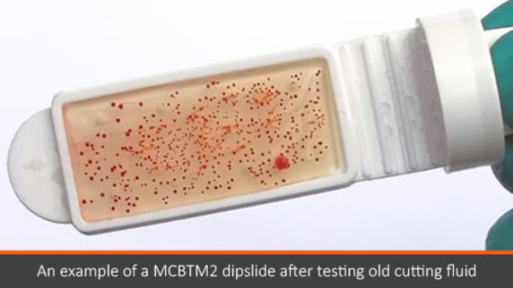 An example of a MCBTM2 dip slide after testing old cutting fluid