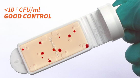 Dip slide showing good bacterial control 