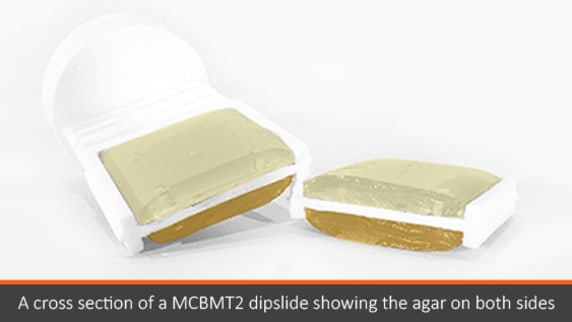 A cross section of a MCBMT2 dip slide showing the agar on both sides